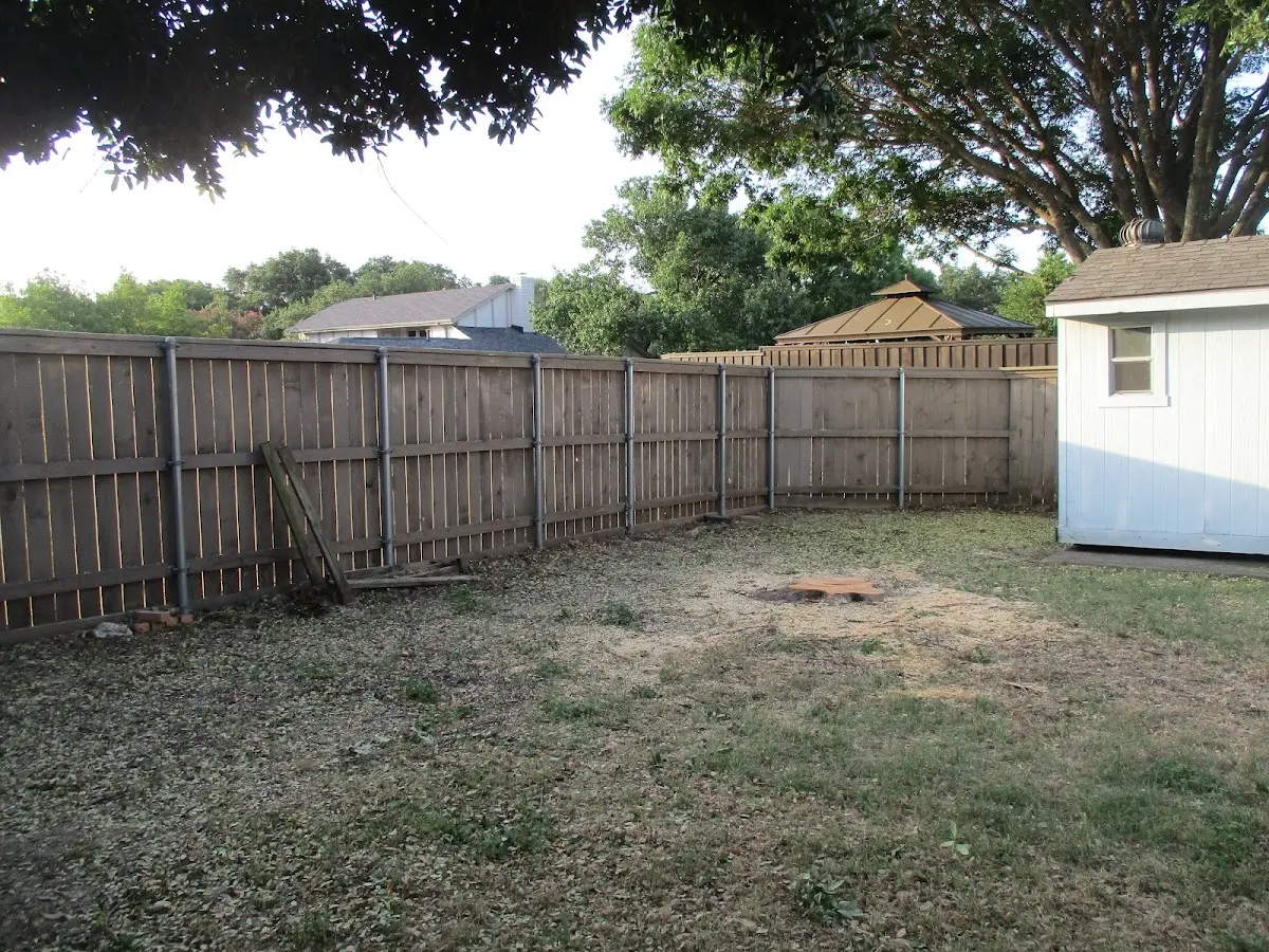 Cleared yard after professional tree removal in Soldotna